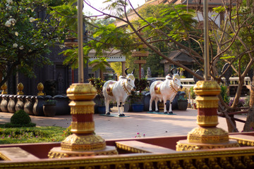 A beautiful view of Siem Reap city at Cambodia.