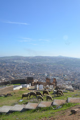 Beautiful Viewpoint and ruins of a former fort, Borj Nord. Sheep eating grasses around.