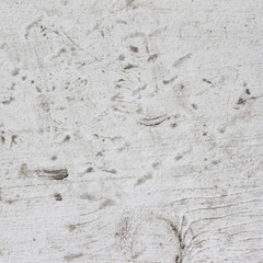 texture cracked paint like a shell