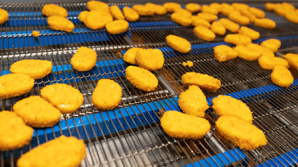 Chicken nuggets production line. Factory for the production of food from meat