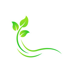 Stylized twig elements with leaves, Green leaf collection, Leaf icon vector isolated on white background. Various shapes of green leaves on trees and plants, floral elements