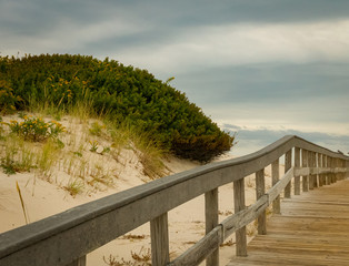 Island Beach State Park is located at in southern New Jersey at the popular Jersey shore and...