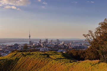 Auckland Mount Eden Skyline