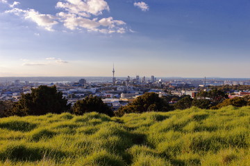 Auckland Mount Eden Skyline