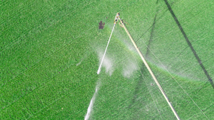 Automated irrigation system on agricultural field. Drone view.