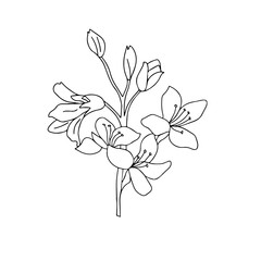 Image of a bouquet of flowers in black and white vector graphics. For the design of postcards, botanical illustrations, wallpapers, phone cases