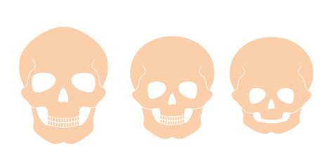 Skeleton1 © pikovit