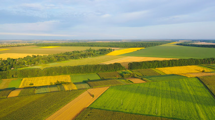 Aerial view, in different colors, different agrarian fields to the horizon.