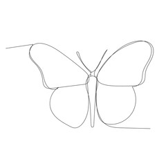 vector, isolated, drawing a single continuous line butterfly