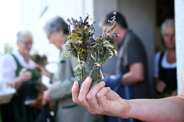 traditionelle Kräuterweihe und Kräuterbuschen Tag Mariä Himmelfahrt (15. August) - traditional...