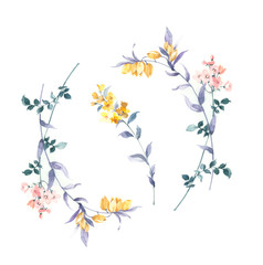 Flowers watercolor illustration.Manual composition.Big Set watercolor elements，Design for textile, wallpapers，Element for design,Greeting card