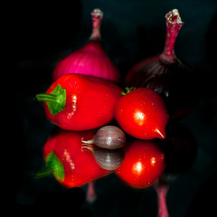 red peppers still life 