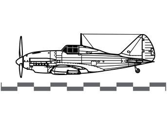 Reggiane Re.2001 Falco 2. World War 2 combat aircraft. Side view. Image for illustration and infographics.