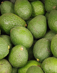 Close-up full frame view of fresh organic bacon avocados displayed at a market stand