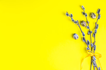 willow on a yellow background. quail eggs. Spring, Easter.