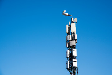 cell phone tower with bird 