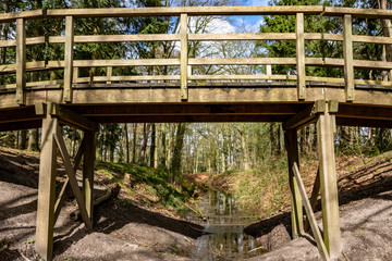 wooden bridge in the woods