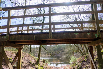 wooden bridge in the forest