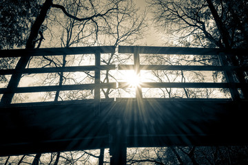 sunset in the park behind a wooden bridge