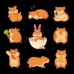 Set of vector illustrations of golden hamsters. Collection pets for stickers and prints. Cute characters for your design.