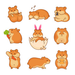 Set of vector illustrations of golden hamsters. Collection pets for stickers and prints. Cute characters for your design.