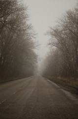 Fototapeta na wymiar long road in the fog
