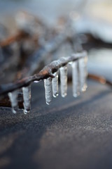 Beautiful winter has come