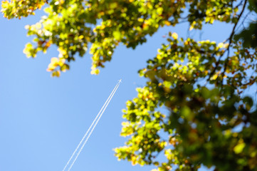 Obraz premium Flugzeug passing