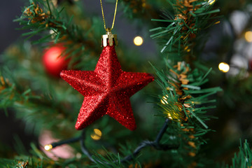 Christmas toy in the form of a star hanging on a branch