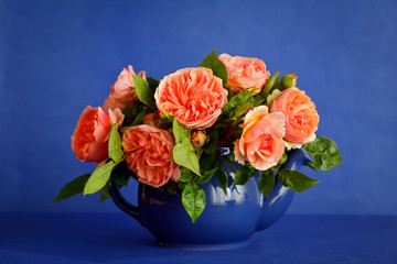 Bouquet of big orange rose flowers in a teapot, blue background or backdrop