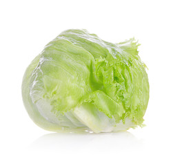 Fresh  lettuce isolated on white background.