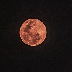 Super lune rose dans la nuit entourée de son halo de lumière au-dessus de la Guadeloupe © Guillaume