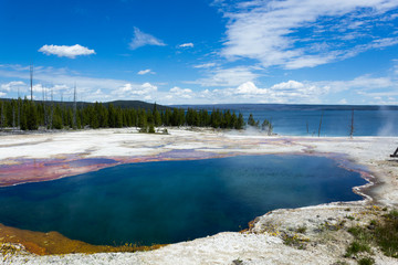 Thumb Geyser en Yellowstone National Park