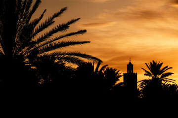 Silhouette of a minaret (mosque) and date palms against a beautiful colorful sky at sunset.