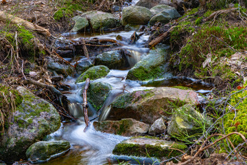 The stream in the spring. Photo of scandinavian nature. Swedish forest.