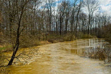 Creek flowing high