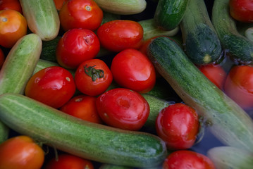 Floating tomato and cucumber in a fruit cleaning process