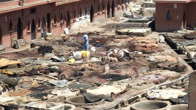 a wide shot of tannery workers at the ancient tanneries in marrakesh, morroco