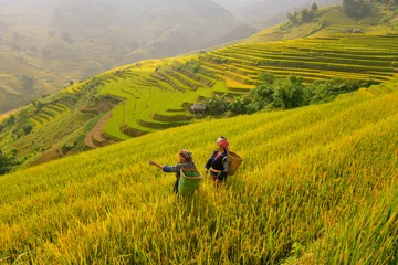 Foto auf Acrylglas Mu Cang Chai Mu Cang Chai is located in the Northern part of Vietnam 