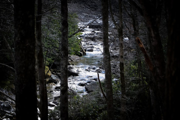 stream through darkness
