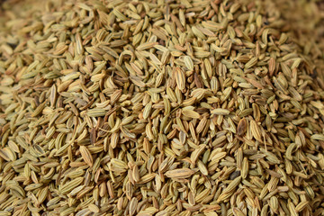 Dried fennel Seeds as an abstract background texture 