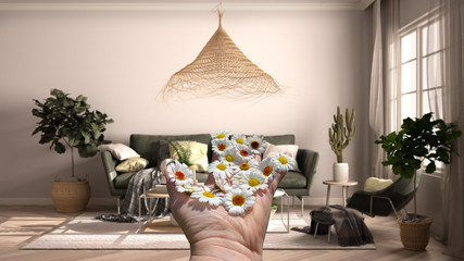 Woman's hand holding daisies, spring and flowers idea, over classic vintage living room with sofa and rattan pendant lamp, potted plants and decors, parquet, interior design