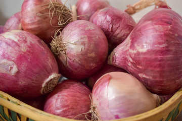 Red Big Size Organic Onions in Wooden Bowl on Table