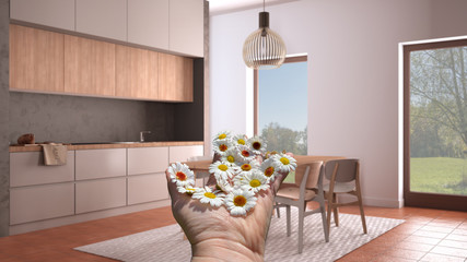 Woman's hand holding daisies, spring and flowers idea, over modern minimalist gray kitchen with wooden details, table with chairs, terrazzo floor, carpet, interior design concept