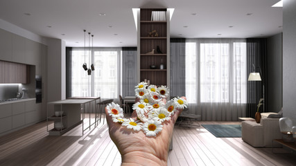 Woman's hand holding daisies, spring and flowers idea, over modern minimalist gray kitchen with wooden details, island with stools, fireplace, armchair, interior design concept