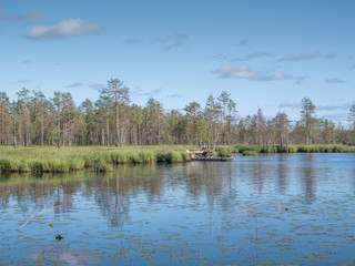 Fototapeta na wymiar Landscape of severe, pristine wild nature in Karelian. Background, wallpaper, desktop photo