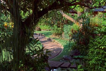 Landscape.  Park on the island of Bali.