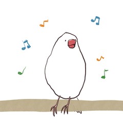 歌を歌うご機嫌な文鳥
