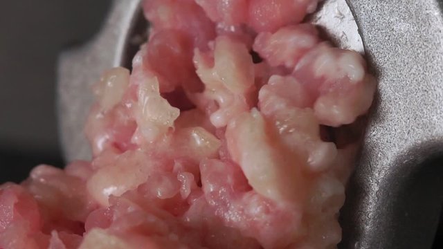 Cooking minced meat. Close-up of front part of mincing-machine with mincemeat in. Showing the forcemeat process.