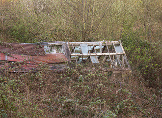 derelict freenhouse